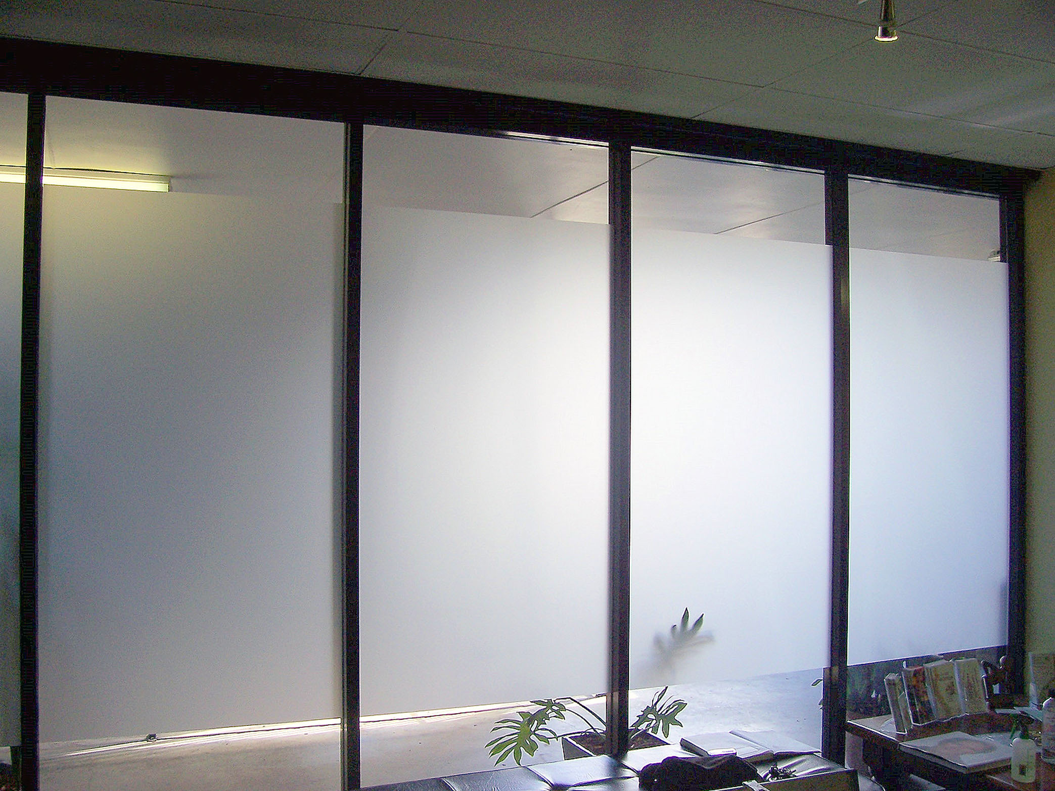 office glass doors window frosting reception film area commercial privacy brisbane